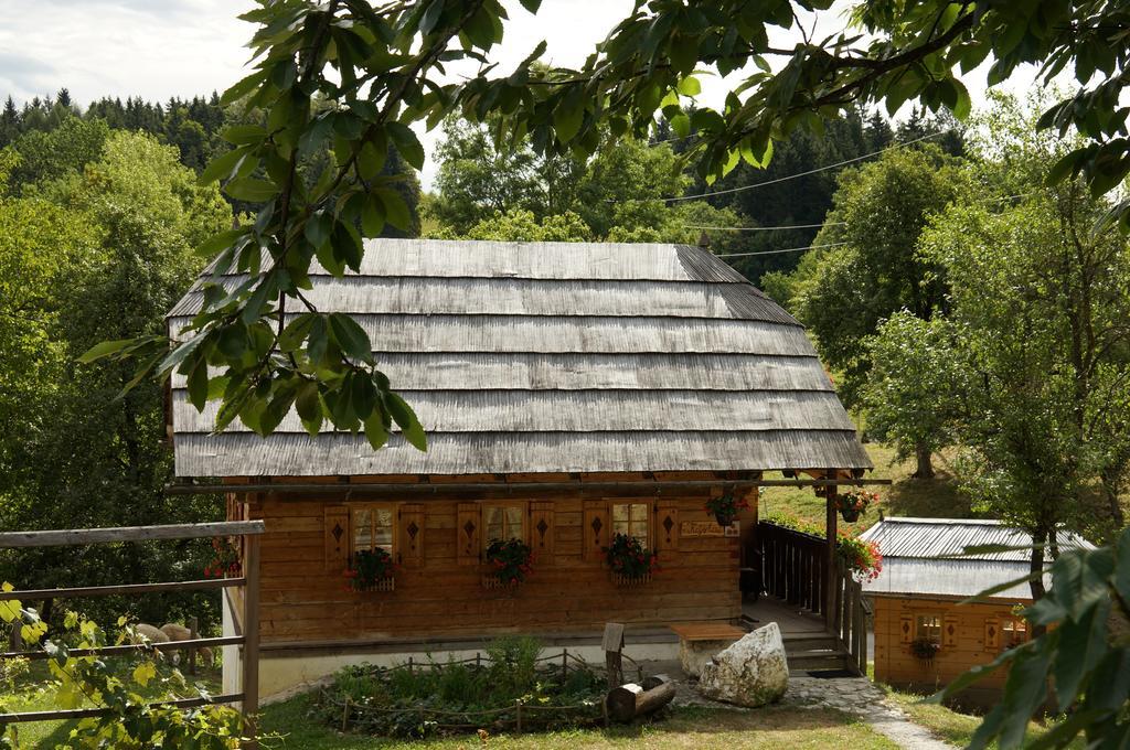 Tourist Farm Samec Villa Sele Dış mekan fotoğraf
