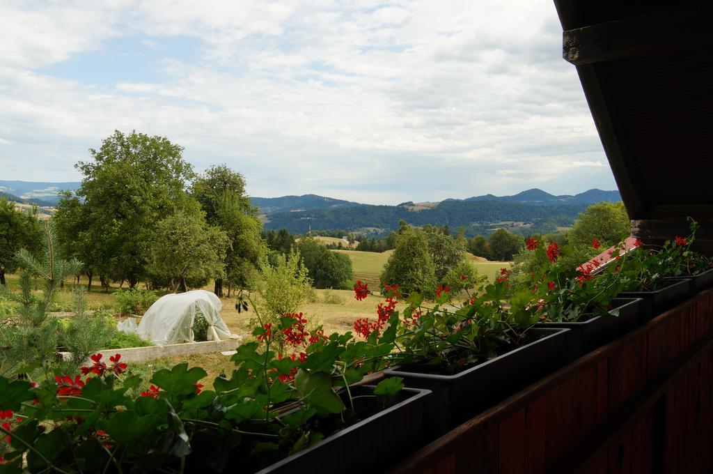 Tourist Farm Samec Villa Sele Dış mekan fotoğraf