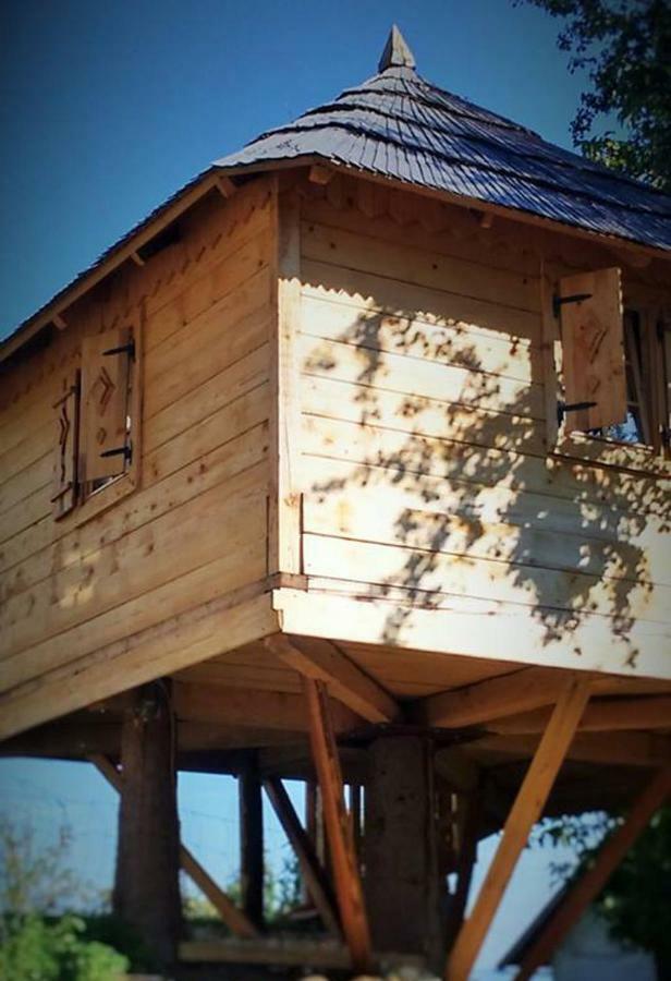 Tourist Farm Samec Villa Sele Dış mekan fotoğraf