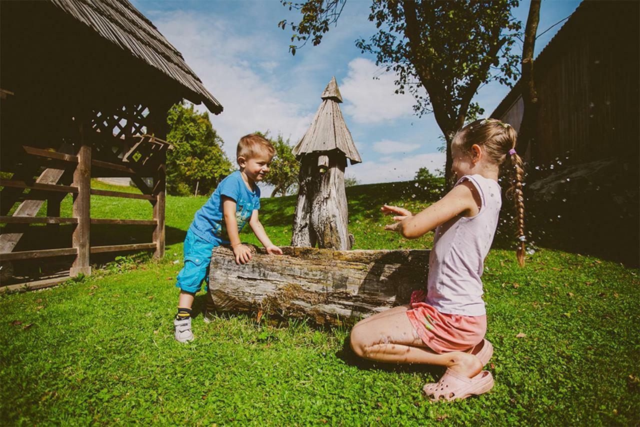 Tourist Farm Samec Villa Sele Dış mekan fotoğraf